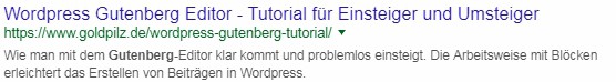 Gutes Beispiel: Ein Google Suchergebniseintrag mit gekürztem Permalink